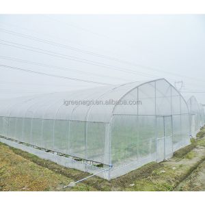 150Micron Single Span Greenhouse Customizable Plastic Film Greenhouse