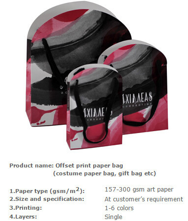 Glossy cardboard luxury paper garment carrier bag wholesale,Medium luxury