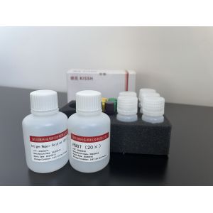 Cytology Assay Reagent TCT Detection Kit With All Optional Consumables