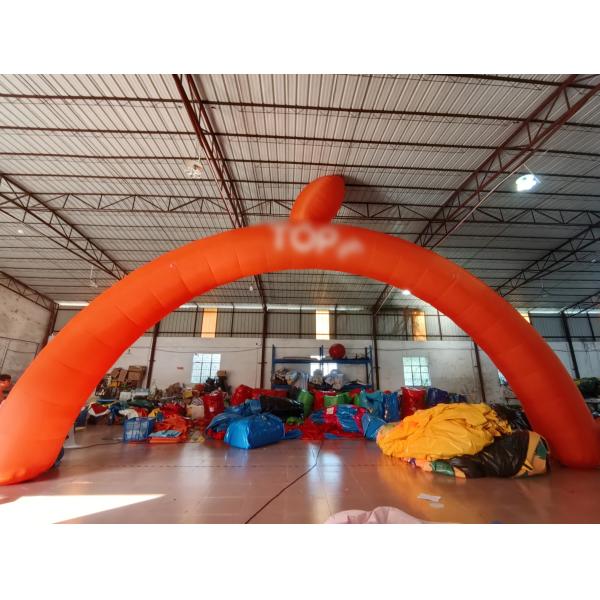 Factory Custom Digital Printing Inflatable Advertising Signs Color Inflatable