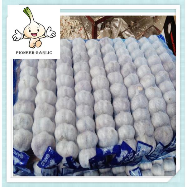 Best white garlic ,fresh garlic New Cold Storage Chinese Fresh Pure Garlic
