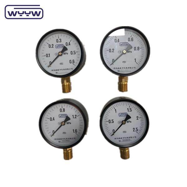 general black steel case 100mm standard bottom M20X1.5 mount bourdon tube