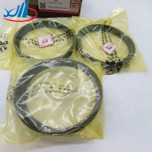 Hot selling Piston ring assembly 5333950