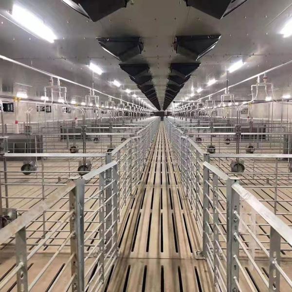 2.5 - 30 Tons Silo Piggery Farm Equipment Swine Breeding Equipment ISO9001