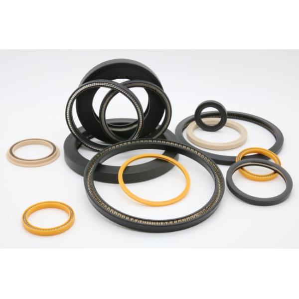 Weather Resistance PTFE Spring Energised Seal 90 Shore A For Petroleum Industry