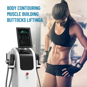 Quality 13 Tesla Body Sculpting Muscle Stimulating Building High Efficiency 4000va for sale