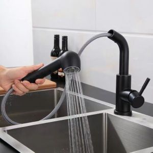 Black Pull Out Sanitary Ware Faucet