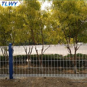 50*150mm Double Loop Wire Garden Welded Mesh Fencing Electro Galvanizing
