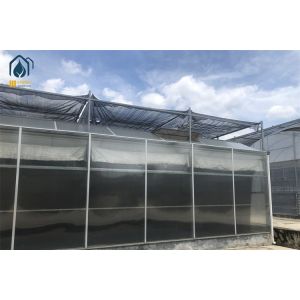 8m 9.6m 12m Span Width Hydroponic Greenhouse Hot Galvanized Steel Pipe