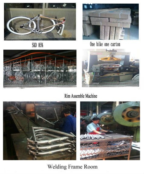 700C Single Speed Flip Flop Fixie Bike with Hard Frame 11kg OEM Customize Chrome