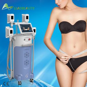 China Fat freezing body shaping cryolipolysis slimming machine for clinic use on sale