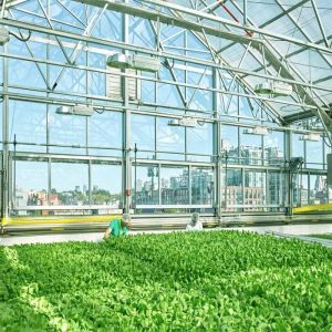 Galvanized Ground Mounted Solar System For Greenhouse