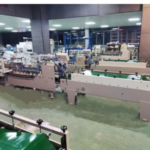Cardboard Box Folding Machine with Optional Output Department and Additional