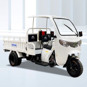 10-20L Fuel Tank Capacity Cargo Tricycle in Ghana with Motorized Driving Type