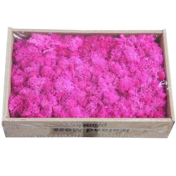 Soft Touch Preserved Moss Real Fresh Moss For Wall Decoration