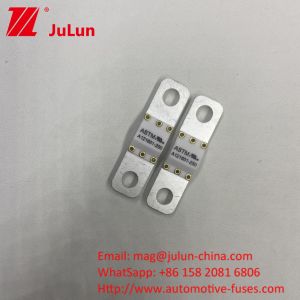 A121601-100A ASTM Electric Vehicles New Energy Equipment Battery Ene Fuse For