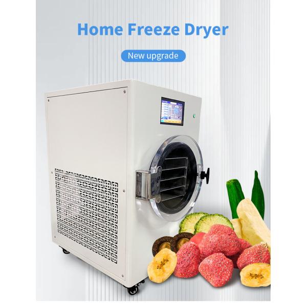 15Pa Home Vacuum Freeze Dryer Machine Lyophilizer 50hz For Meat Pet Food