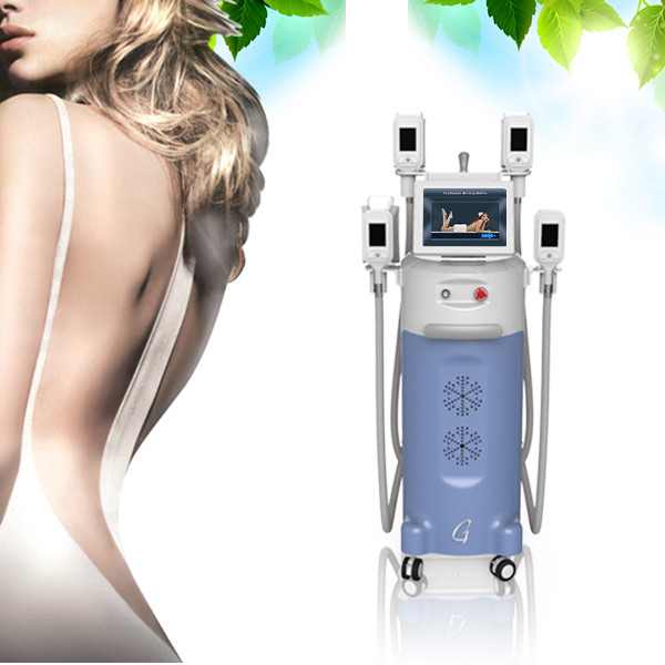 Buy Spa use cryolipolysis body slimming machine for sale at wholesale prices