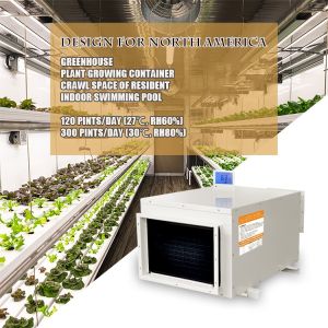 26L/D Ceiling Mount Dehumidifier Hot Sale Machine Air Dehumidifier for