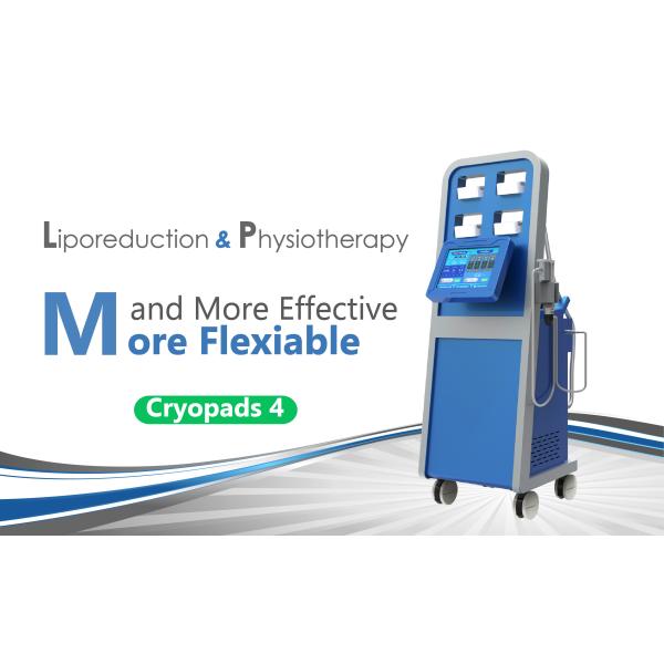 Buy Better Noninvasive Cryolipolysis Slimming Machine , Professional Cryolipolysis Machine at wholesale prices