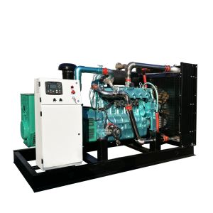 Quality Factory supplier LPG generator LPG electric generator for sale
