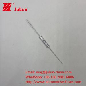 HV660 ASTM 16A 500VDC 30KA Ceramic Automotive Fuses Axial Lead Mounting Method 6