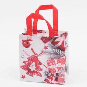 Promotional Reusable Foldable PP Non Woven Shopping Bag