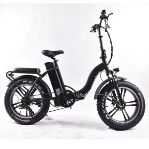 ODM Fat Tyre Folding Electric Bike 6Speed Derailleur 30KMH