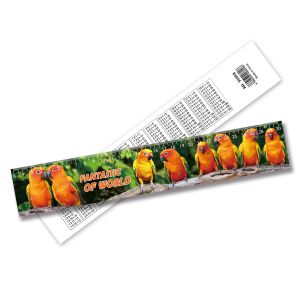 Quality Wholesale 3D Lenticular Printing Plastic Ruler Lenticular Printing Ruler Accept Custom Size Design for sale