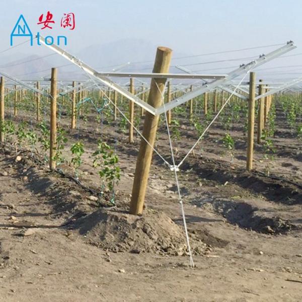 Buy Recyclable Orchard Trellis Systems Provides Complete Control Trellis Wires at wholesale prices