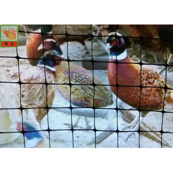 Black Plastic Chicken Netting , Plastic Poultry Netting, Plastic Poultry Fence,