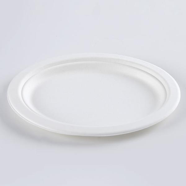 Biodegradable Sugarcane Pulp Party Dinnerware Plate Sugarcane Bagasse Paper Plate Round Disposable Plate dishes