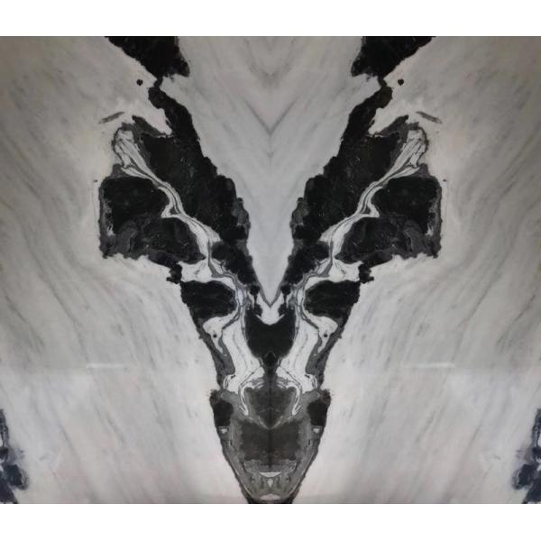 Tops Wall Honed Exotic 60x120cm Marble Stone Slab