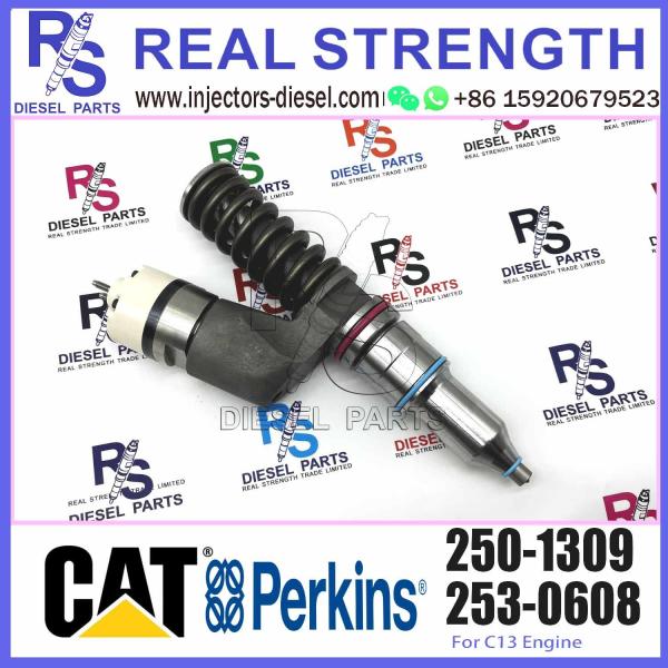 Buy 250-1309 Diesel Engine Fuel Injector Excavator C11 C13 Diesel Engine Spare Parts 250-1309 at wholesale prices