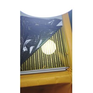 Etched Stainless Steel Sheet for Decoration and Architecture with Customized