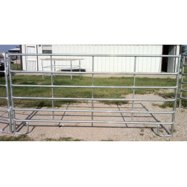 Haisen Horse Corral Panels Powder Coated 6 Bars Cattle for Famr and Yard