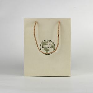 Recycled Custom Paper Shopping Bag packaging design solutions