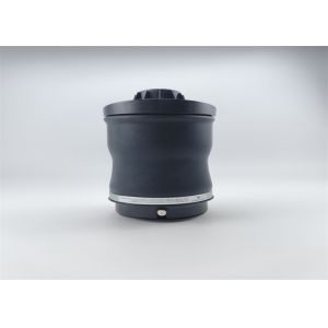 2513200425 Rear Air Suspension Spring Bags For Mercedes Benz ﻿