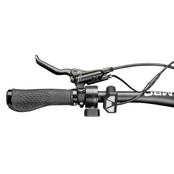 Central Motor 26" 4.0 Fat Tire Adult Electric Bike with Dual Battery 48V1000W X2WD CE