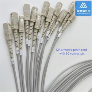 12 Core Sc Apc Fiber Patch Cable 2m Sc Upc Sc Upc Simplex 6.5mm Grey PVC