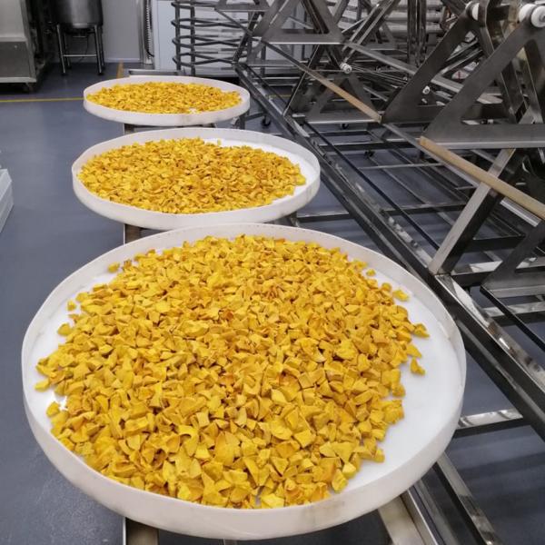 3KW Stainless Steel Microwave Vacuum Dryer Medicines Industrial Microwave Batch