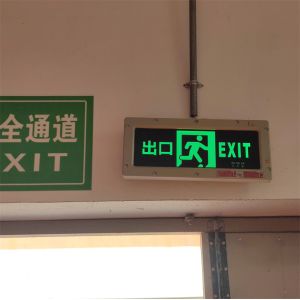 Emergency ATEX Explosion Proof Exit Sign Versatile