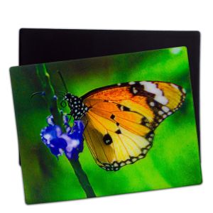 Quality Eye-catching 3D Lenticular Magnets for Promotions and Advertising for sale