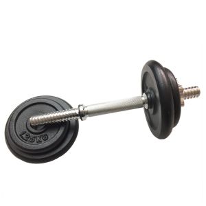 Black Painting 1-inch Cast Iron Weight Disc Plates