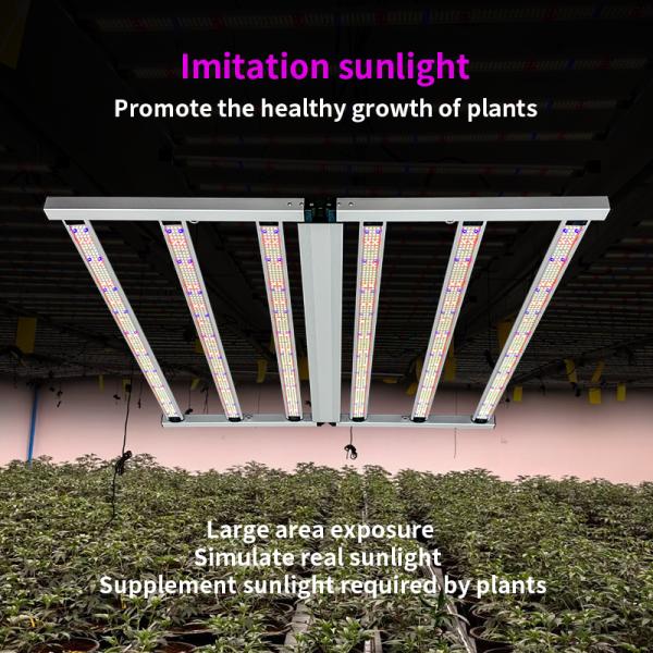 Buy 650W Full Spectrum Foldable LED Grow Light with 1950 μmol/s PPF and 3.0 μmol/J PPE for Veg Bloom at wholesale prices
