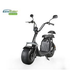 EcoRider 60v 12ah 1500 W Two Wheels Electric Scooter , 2 Wheel Motor Scooter