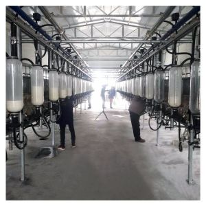 China Automatic Vacuum 2100L Herringbone Milking Parlor with Sunction Function on sale