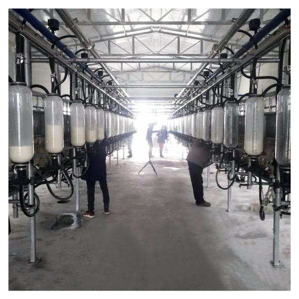 Buy Automatic Vacuum 2100L Herringbone Milking Parlor with Sunction Function at wholesale prices