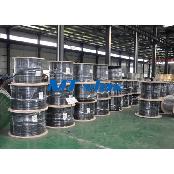 Buy Multi - Core Stainless Steel Coiled Tubing ASTM A213 S30400 / S30403 Bright Annealed at wholesale prices