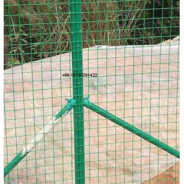 China ready stock 60x60 mm euro fence mesh Pvc coating made in china